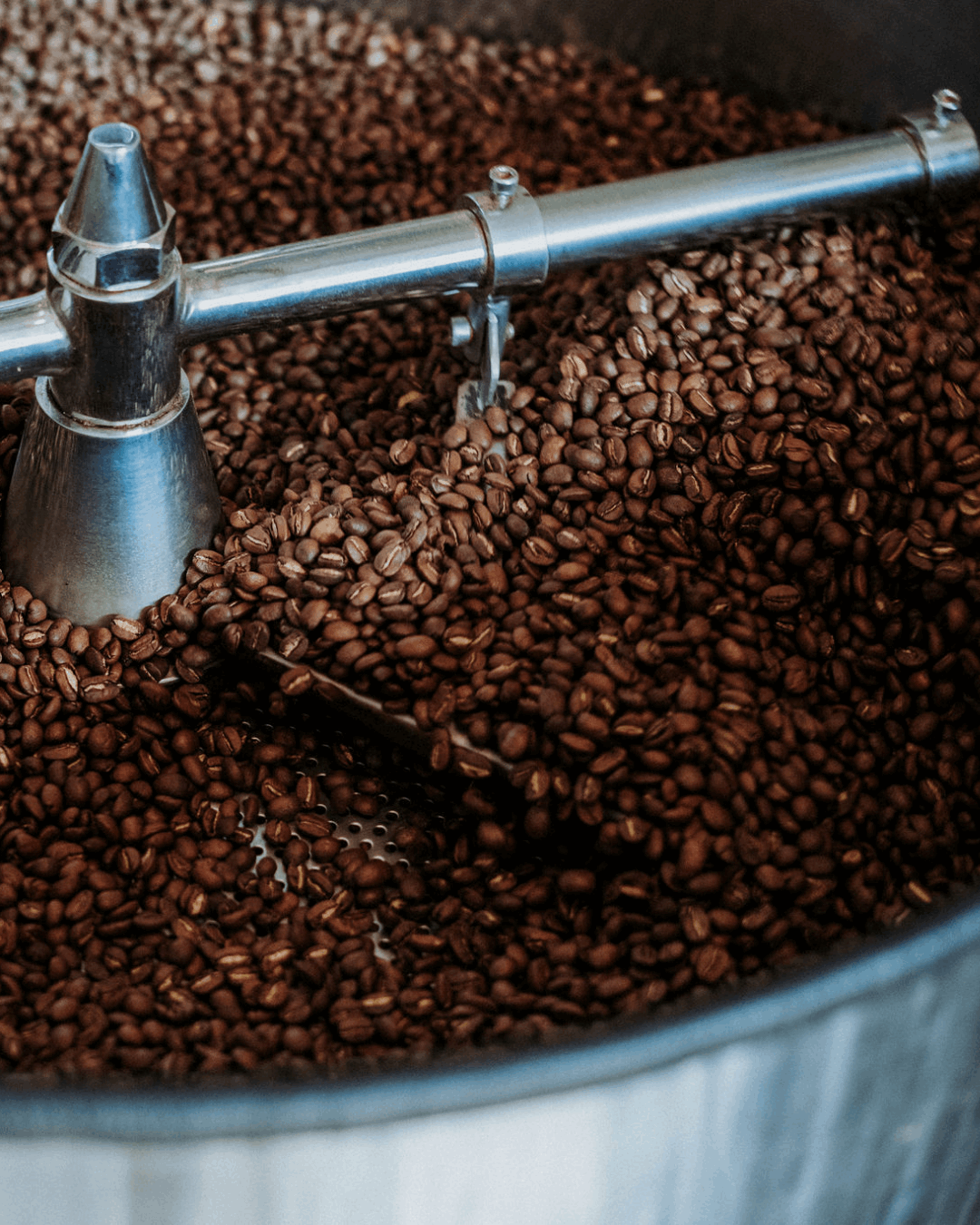 Timor-Leste Daurfusu Honey Filter Roast Coffee Byron Moonshine Coffee