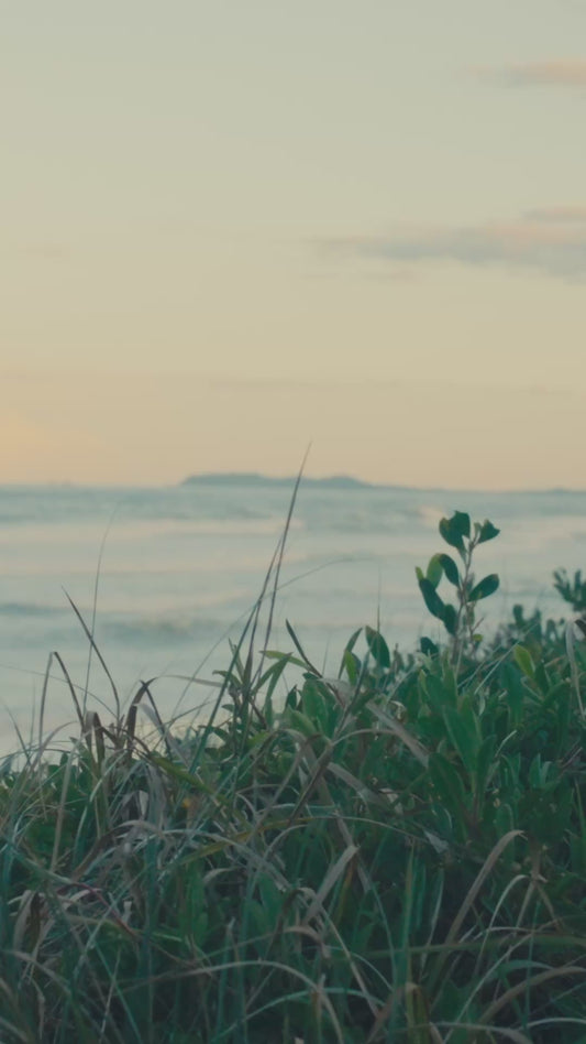 Moon Runner Drip Bags